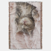 Couverture Chaton somnolent (devant Vertical)