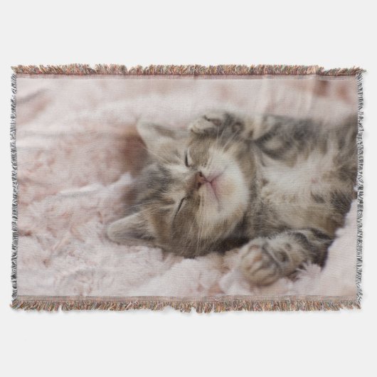 Couverture Chaton somnolent (Devant)