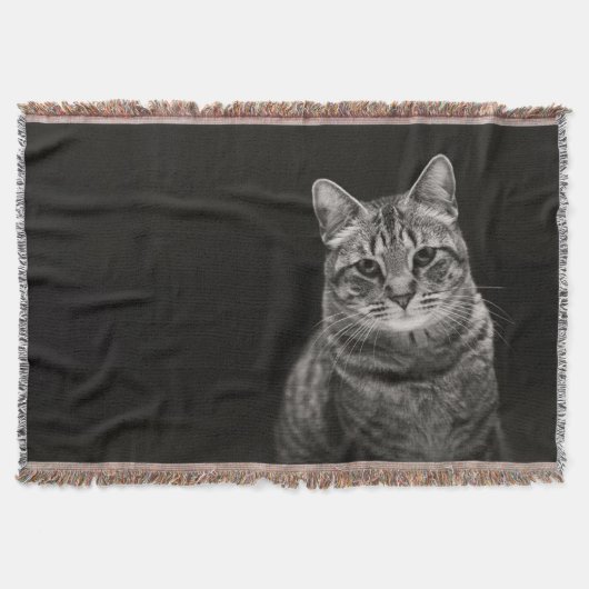 Couverture Chaton tigré noir (Devant)