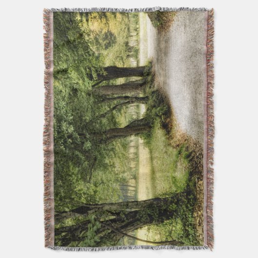 Couverture Chemin dans le pays (devant Vertical)