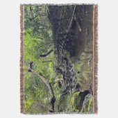 Couverture Chemin de fer abandonné (devant Vertical)