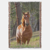 Couverture Cheval dans les bois (devant Vertical)