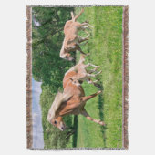 Couverture Cheval de Haflinger avec de mignons poulains Coure (devant Vertical)