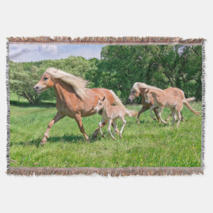 Couverture Cheval de Haflinger avec de mignons poulains Coure