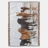 Couverture Cheval islandais en hiver en Islande (devant Vertical)