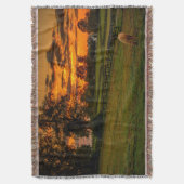 Couverture Cheval solitaire au coucher du soleil (devant Vertical)