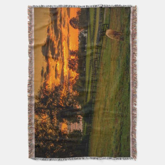 Couverture Cheval solitaire au coucher du soleil (devant Vertical)