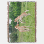Couverture Chevaux Haflinger mignonette poulains de l'élevage (devant Vertical)