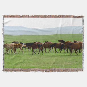 Couverture Chevaux sur la prairie - Photographie du paysage