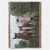 Couverture Cheveux frisés, quatre amis chevaux, (devant Vertical)