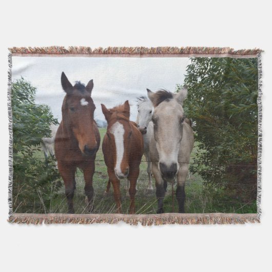 Couverture Cheveux frisés, quatre amis chevaux, (Devant)