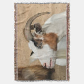 Couverture Chèvre de Calico (devant Vertical)