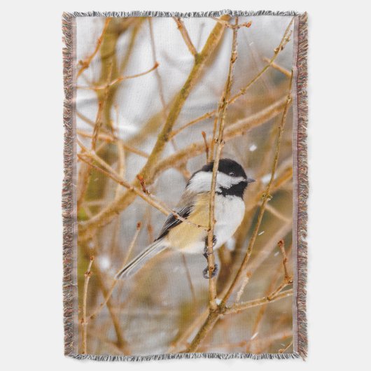 Couverture Chickadee au plafond noir - Photo originale (devant Vertical)
