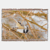 Couverture Chickadee au plafond noir - Photo originale (Devant)