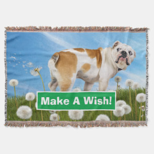Couverture Chien avec Dandelion