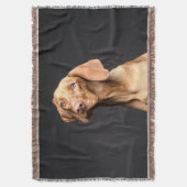 Couverture Chien Beagle Brown animal (devant Vertical)