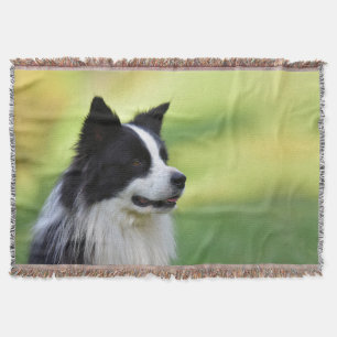 Couverture Chien Border Collie noir et blanc