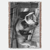 Couverture Chien de boxe sur Windowsill tbcna (devant Vertical)