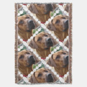 Couverture Chien de Rhodesian Ridgeback (devant Vertical)