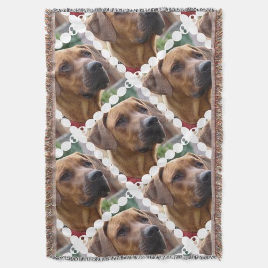 Couverture Chien de Rhodesian Ridgeback (devant Vertical)