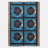 Couverture Chien de Terre-Neuve               (devant Vertical)