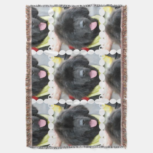 Couverture Chien de Terre-Neuve (devant Vertical)