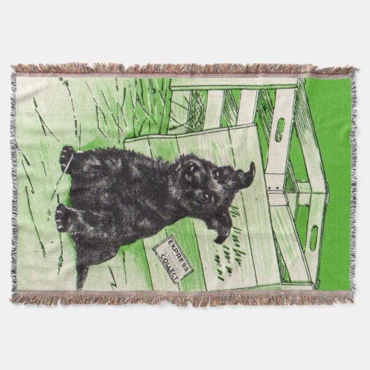 Couverture Chien écossais par livraison spéciale (Devant)