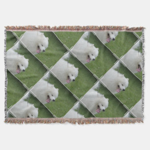 Couverture Chien esquimau américain doux