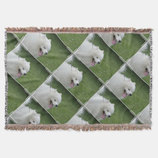 Couverture Chien esquimau américain doux (Devant)