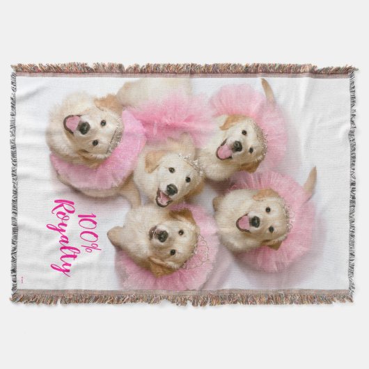 Couverture Chiens de Tiaras (Devant)