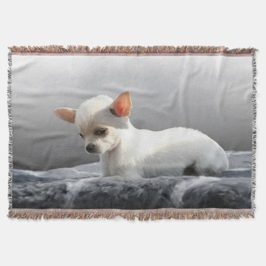 Couverture Chihuahua Chien assis Chien Portrait Peinture d'ar (Devant)