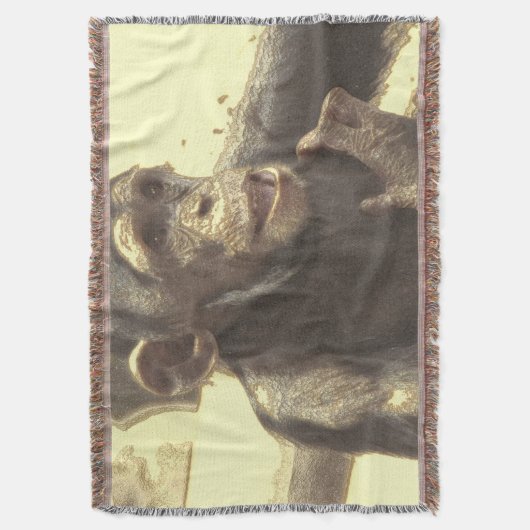 Couverture Chimp métallique (devant Vertical)