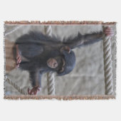 Couverture Chimpanzé 017 (Devant)