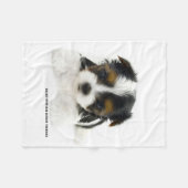 Couverture - chiot de Biewer Terrier (Devant (Horizontal))