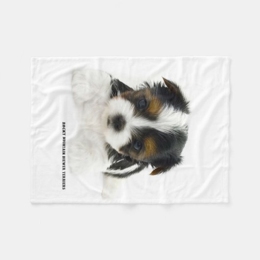 Couverture - chiot de Biewer Terrier (Devant (Horizontal))