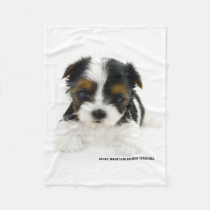 Couverture - chiot de Biewer Terrier