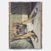 Couverture Chiot de boxeur de faon (devant Vertical)
