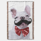 Couverture Chiot de chien de Taureau de Français avec la (devant Vertical)