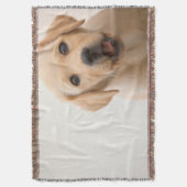 Couverture Chiot d'or de Labrador (devant Vertical)
