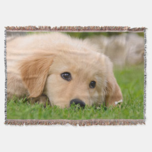 Couverture Chiot mignon de chien de golden retriever rêvant,