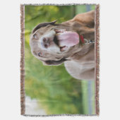 Couverture Chocolat Lab Chien (devant Vertical)