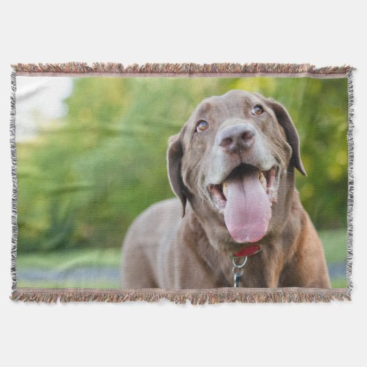 Couverture Chocolat Lab Chien (Devant)