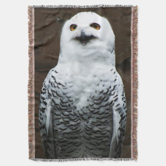 Couverture Chouette des neiges tbcna (devant Vertical)