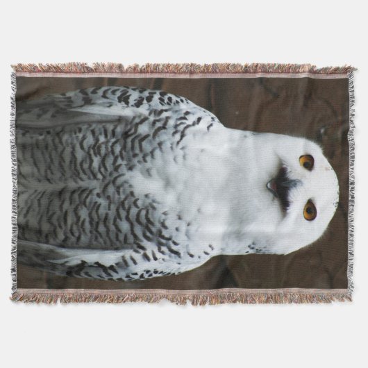 Couverture Chouette des neiges tbcna (Devant)