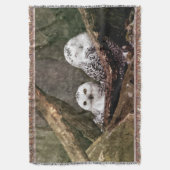 Couverture Chouette Harfang Couple Art Bois Faune (devant Vertical)