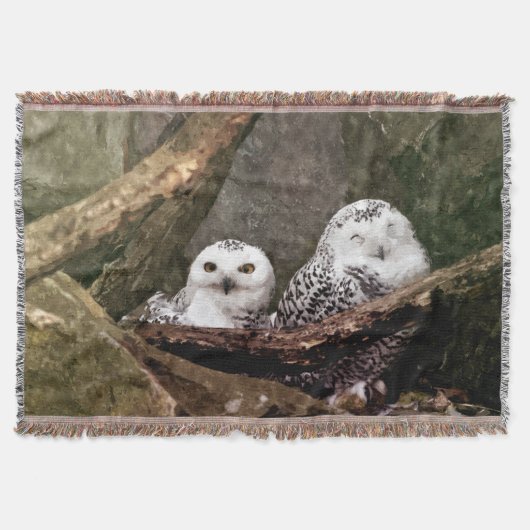 Couverture Chouette Harfang Couple Art Bois Faune (Devant)