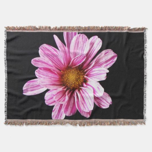 Couverture Chrysanthemum Fleur tbcna (Devant)