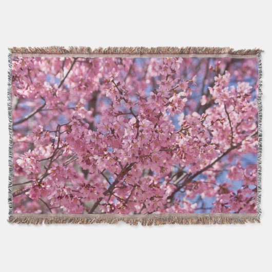 Couverture Ciel Rose aux Fleurs de Cerisier (Devant)