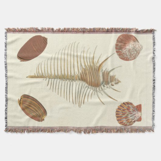 Couverture Cinq d'un coquillage (Devant)