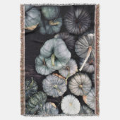 Couverture Citrouilles verts turquoises (devant Vertical)